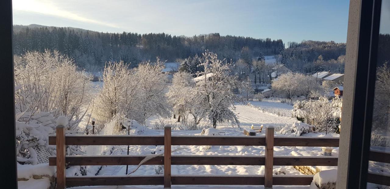 Le Jura En Toutes Saisons Piscine, Spa, Location Vtt, Balades 2Cv, Climatisation Bonlieu Exteriör bild