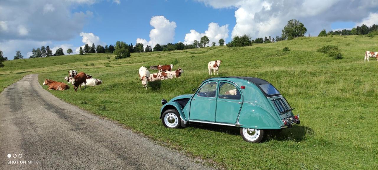 Le Jura En Toutes Saisons Piscine, Spa, Location Vtt, Balades 2Cv, Climatisation Bonlieu Exteriör bild
